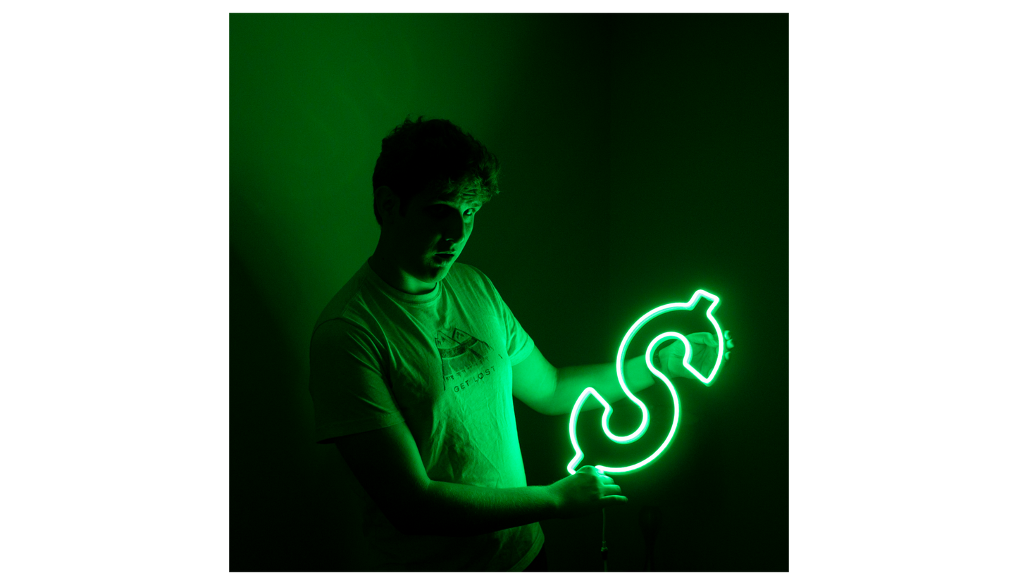 LED Neon Dollar $ Animated LED Neon Sign - DancingNeon