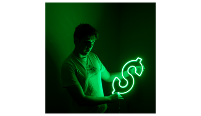 LED Neon Dollar $ Animated LED Neon Sign - DancingNeon